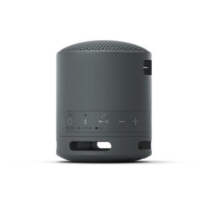 Sony SRS-XB100 Super-Compact Travel Speaker